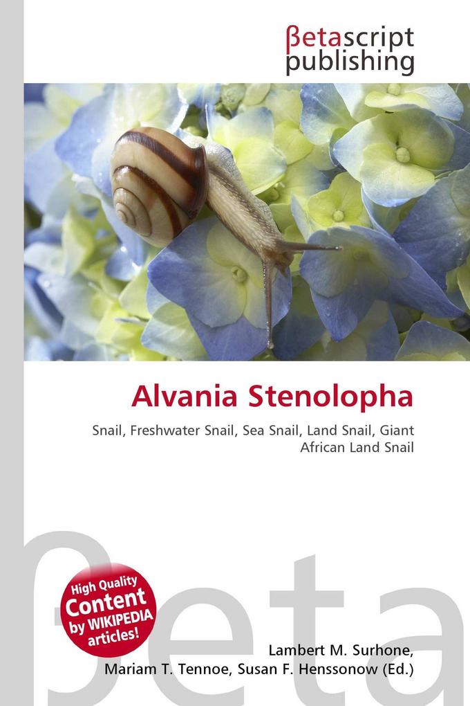 Alvania Stenolopha