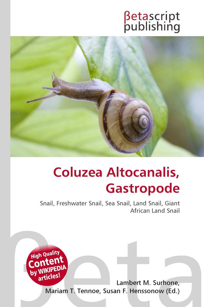 Coluzea Altocanalis Gastropode