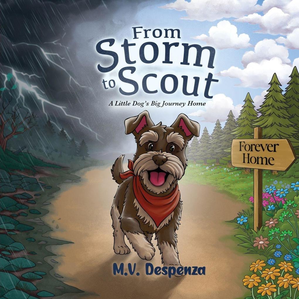 From Storm to Scout
