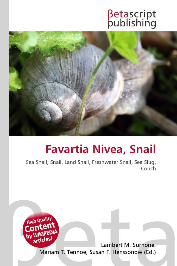 Favartia Nivea Snail