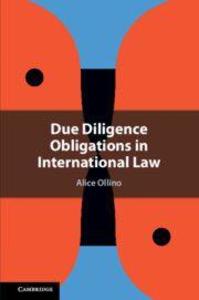 Due Diligence Obligations in International Law