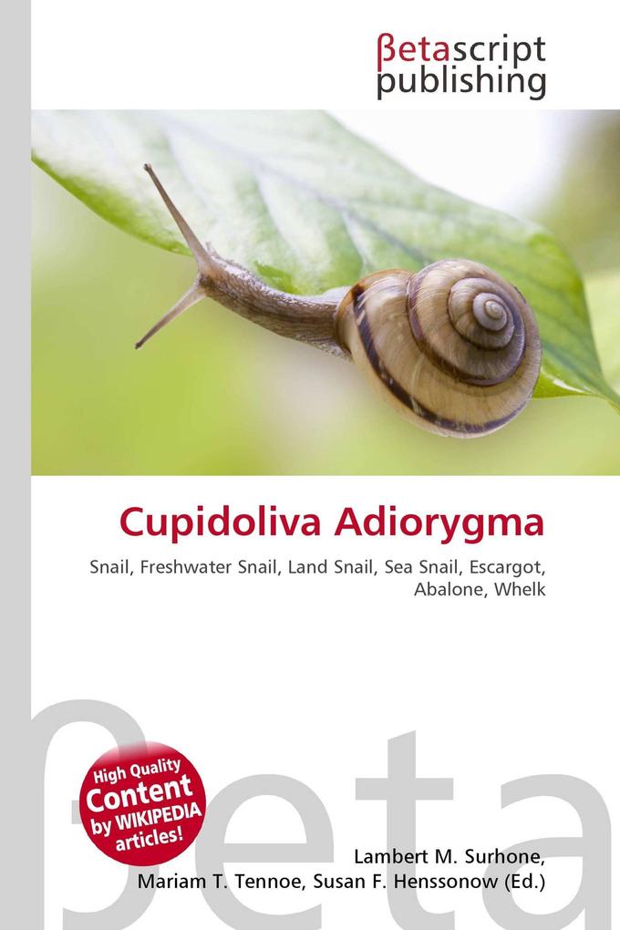 Cupidoliva Adiorygma