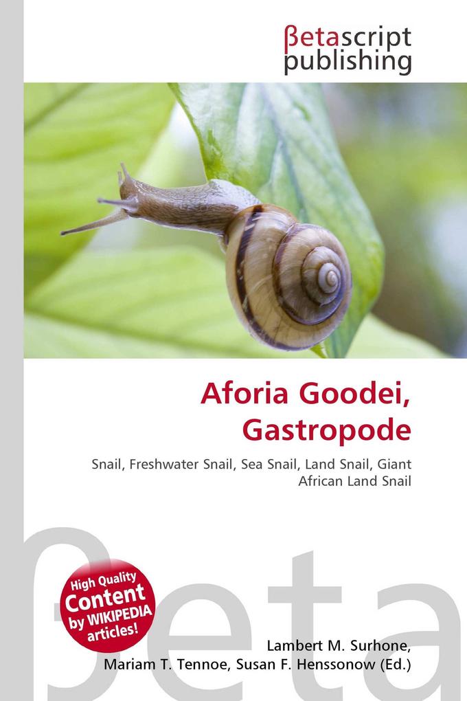 Aforia Goodei Gastropode