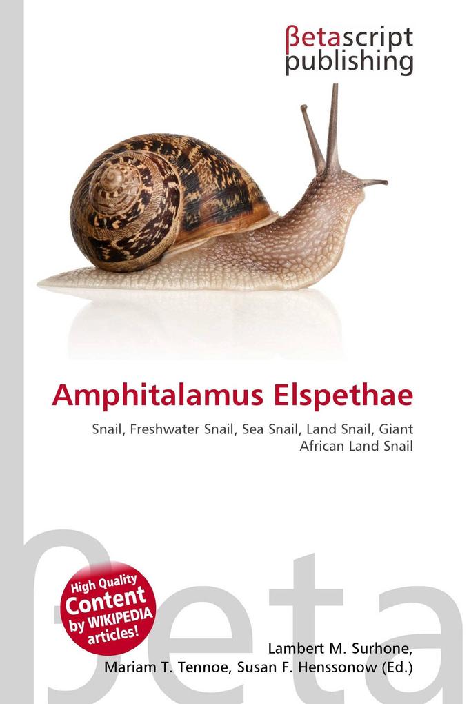 Amphitalamus Elspethae