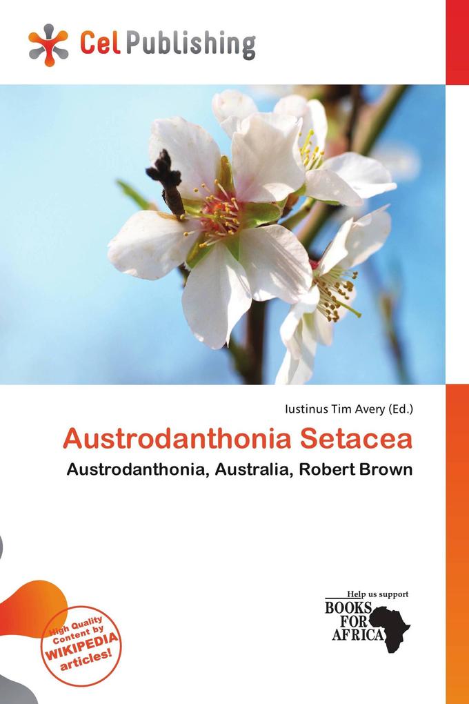 Austrodanthonia Setacea