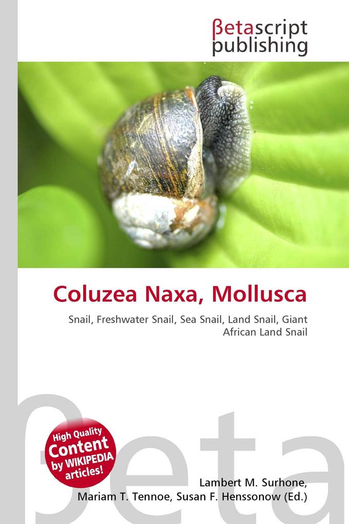 Coluzea Naxa Mollusca