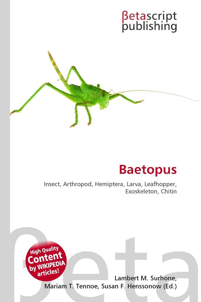 Baetopus