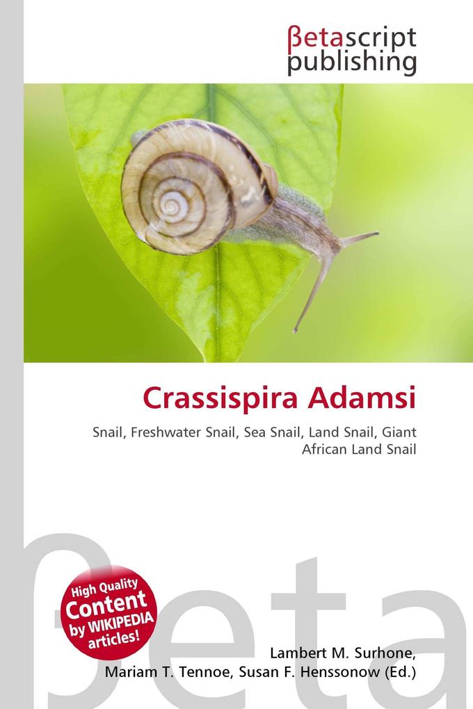 Crassispira Adamsi