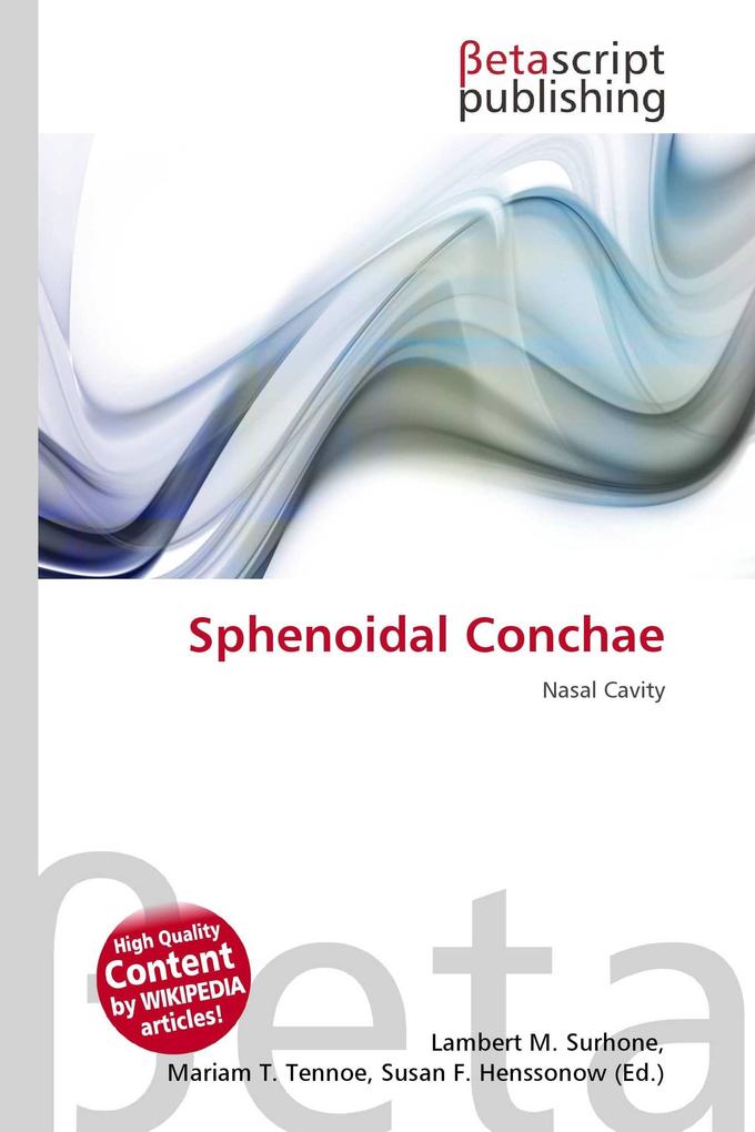 Sphenoidal Conchae
