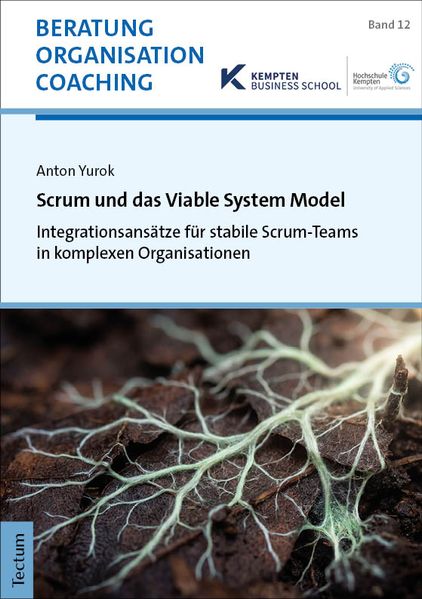 Scrum und das Viable System Model
