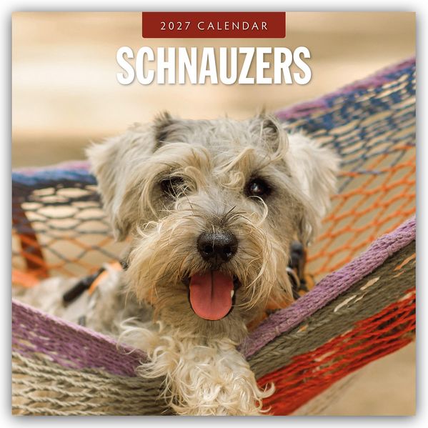 Schnauzer 2027 - 16-Monatskalender