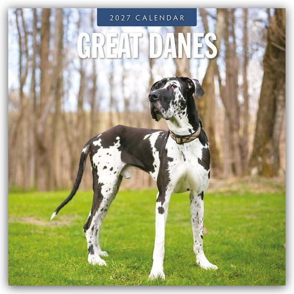 Great Danes - Deutsche Dogge 2027 - 16-Monatskalender
