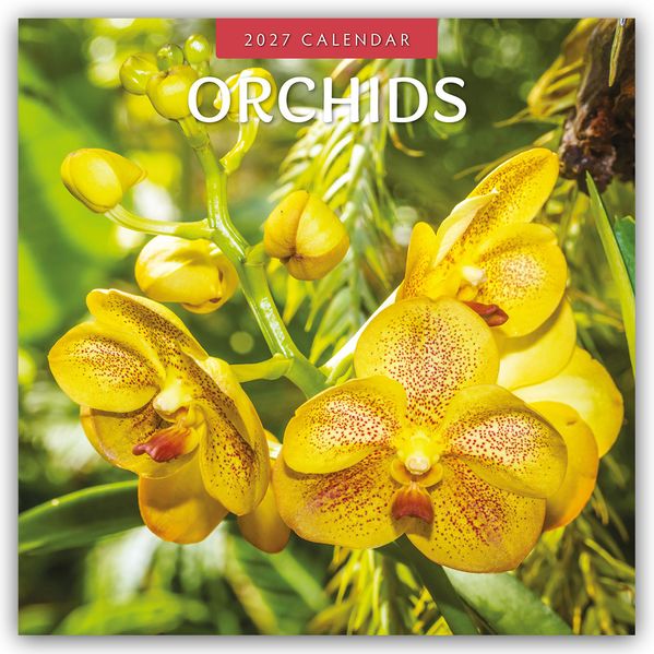 Orchids - Orchideen 2027 - 16-Monatskalender