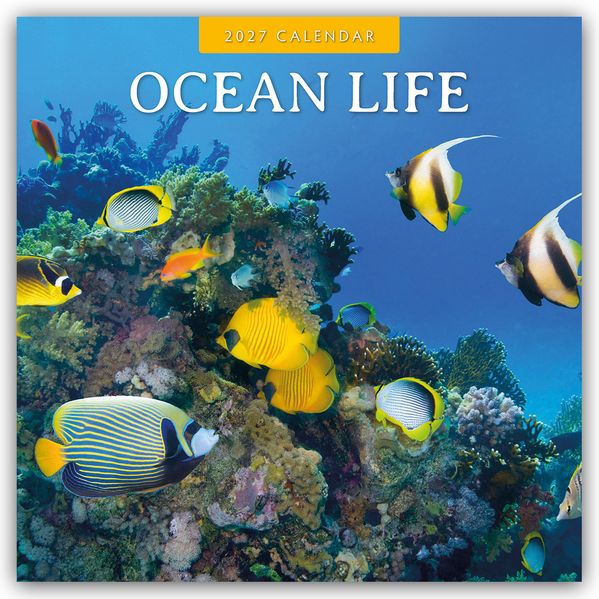 Ocean Life - Leben im Ozean 2027 - 16-Monatskalender