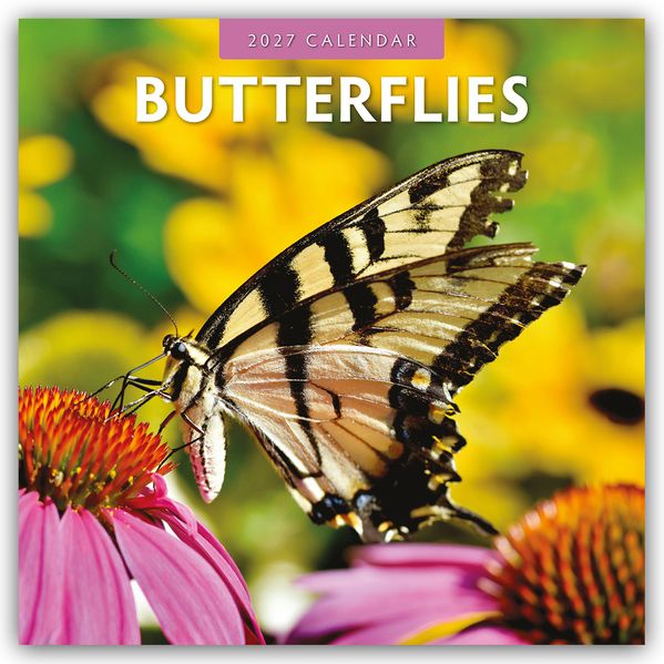 Butterflies - Schmetterlinge 2027 - 16-Monatskalender