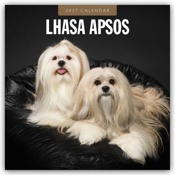 Lhasa Apsos - Lhasa Apso 2027 - 16-Monatskalender