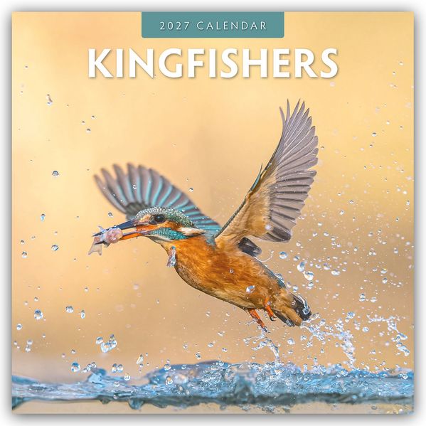 Kingfishers - Eisvögel 2027 - 16-Monatskalender