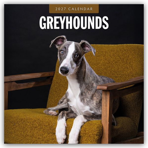 Greyhound - Windhund 2027 - 16-Monatskalender