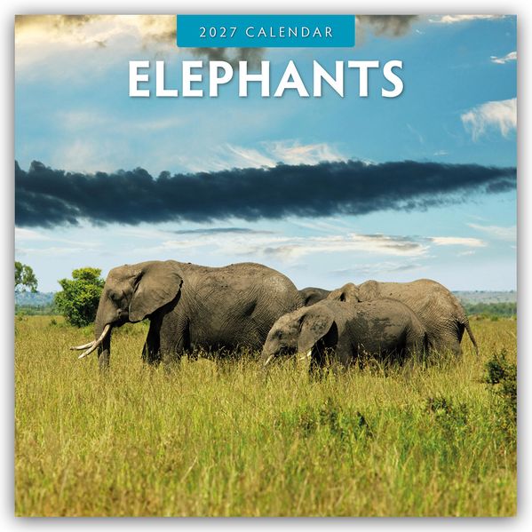 Elephants - Elefanten 2027 - 16-Monatskalender