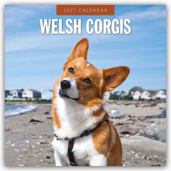Welsh Corgis - Welsh Corgi 2027 - 16-Monatskalender