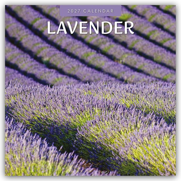Lavender - Lavendel 2027 - 16-Monatskalender