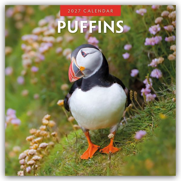 Puffins - Papageitaucher 2027 - 16-Monatskalender