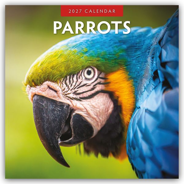 Parrots - Papageien 2027 - 16-Monatskalender