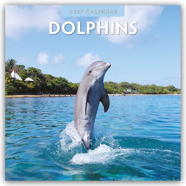 Dolphins - Delfine 2027 - 16-Monatskalender