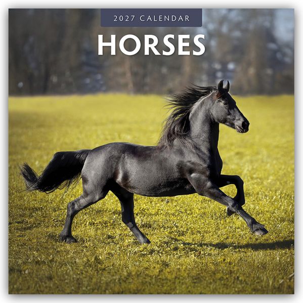 Horses - Pferde 2027 - 16-Monatskalender