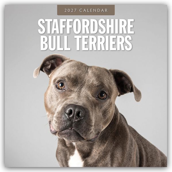 Staffordshire Bull Terriers - Staffordshire Bullterrier 2027 - 16-Monatskalender