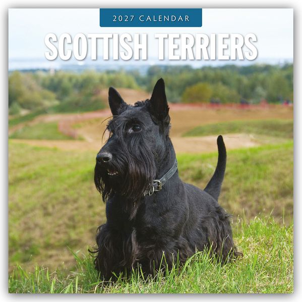 Scottish Terrier - Scotchterrier 2027 - 16-Monatskalender
