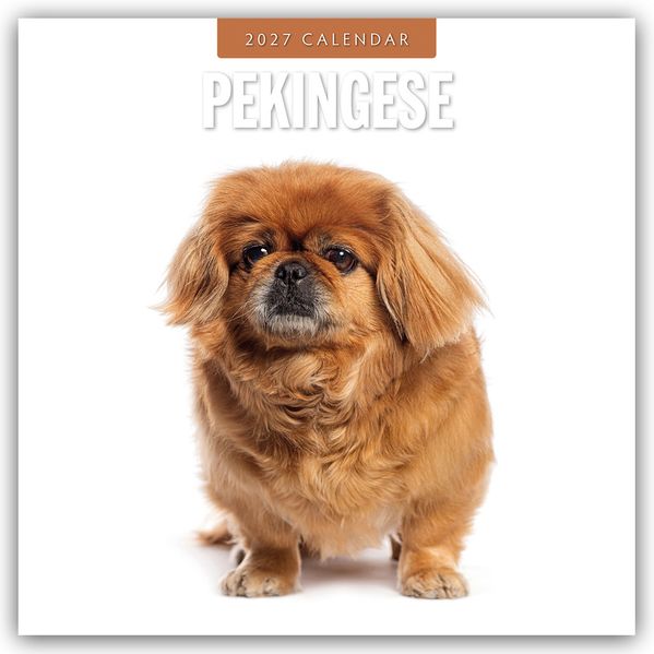 Pekingese - Pekinese - Peking Palasthund 2027 - 16-Monatskalender