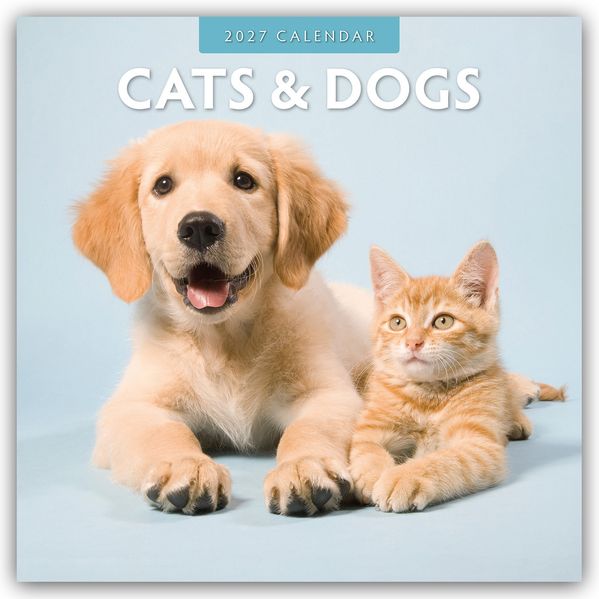 Cats & Dogs - Katzen & Hunde 2027 - 16-Monatskalender