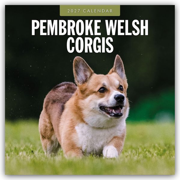 Pembroke Welsh Corgis - Pembroke Welsh Corgi 2027 - 16-Monatskalender