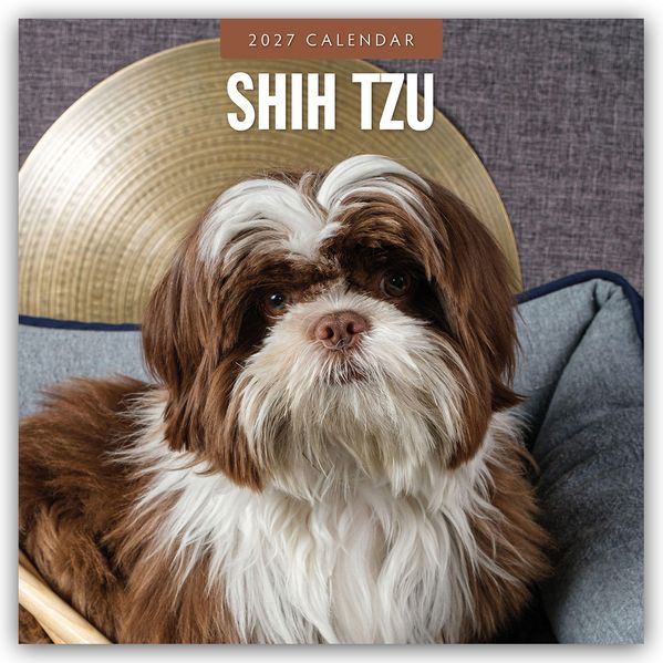 Shih Tzu 2027 - 16-Monatskalender