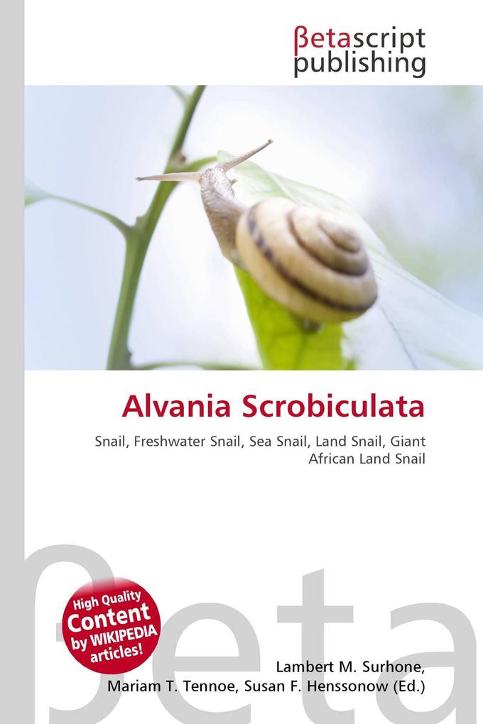 Alvania Scrobiculata