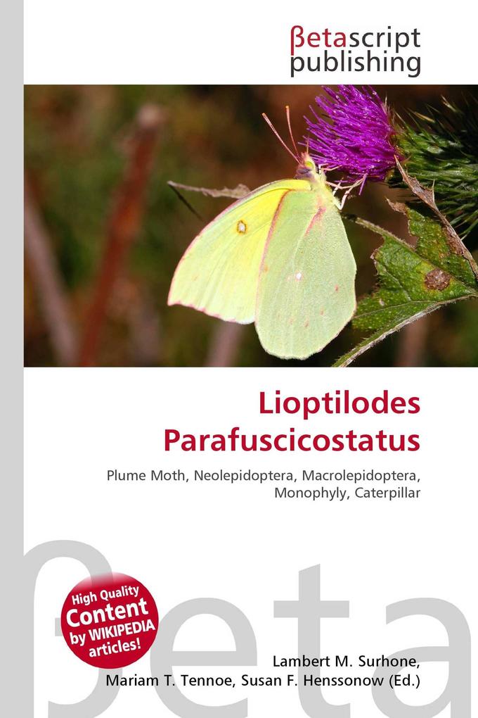 Lioptilodes Parafuscicostatus