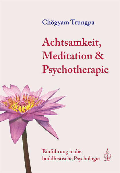 Achtsamkeit Meditation und Psychotherapie