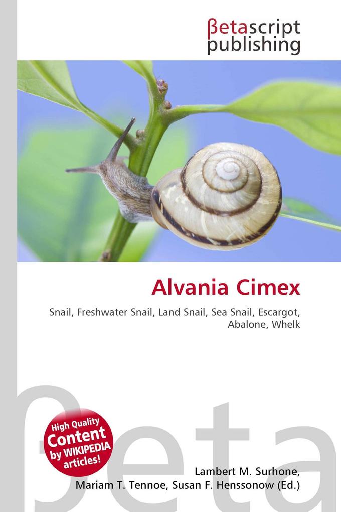 Alvania Cimex