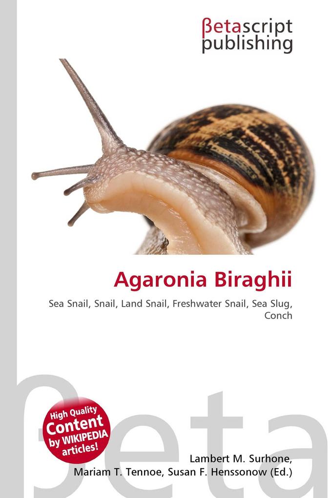 Agaronia Biraghii