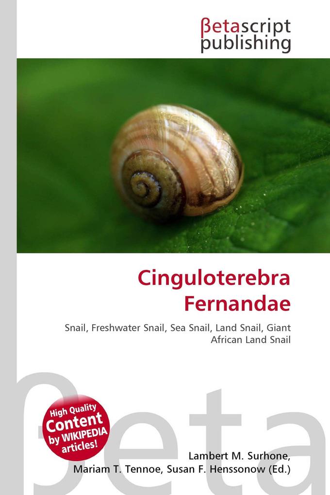 Cinguloterebra Fernandae