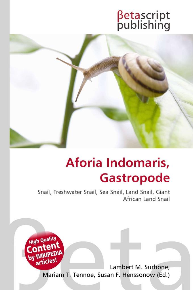 Aforia Indomaris Gastropode