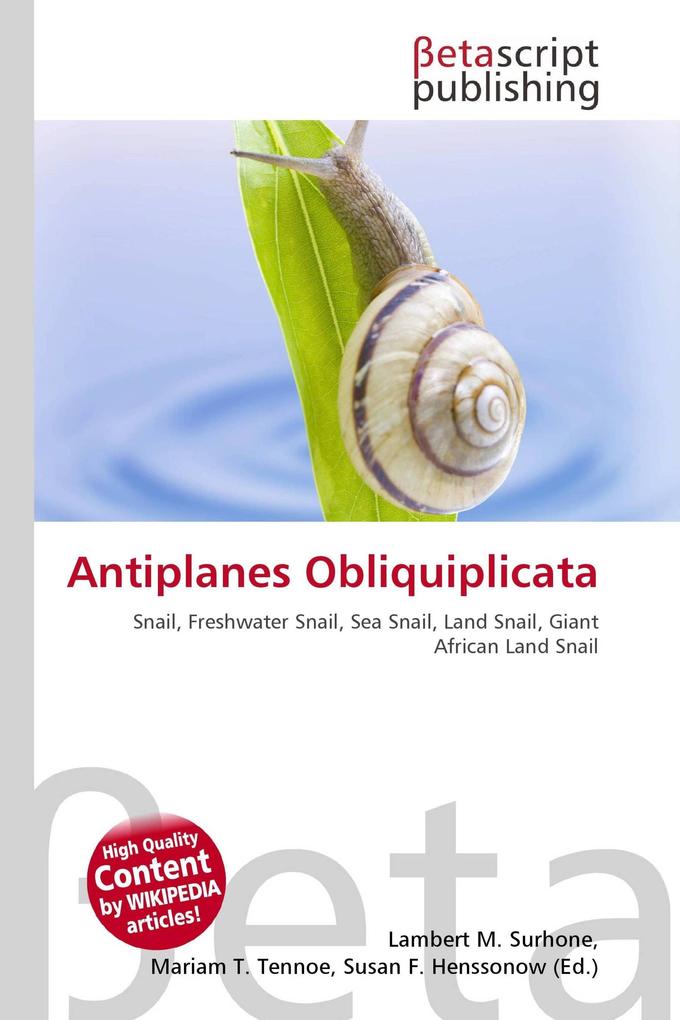 Antiplanes Obliquiplicata