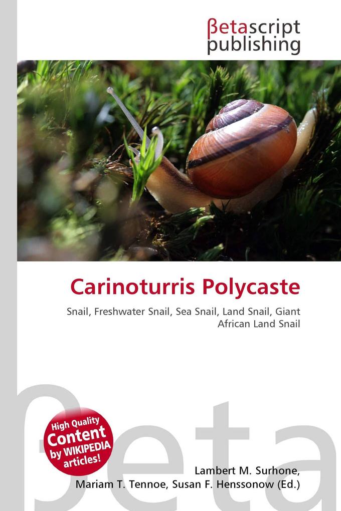 Carinoturris Polycaste