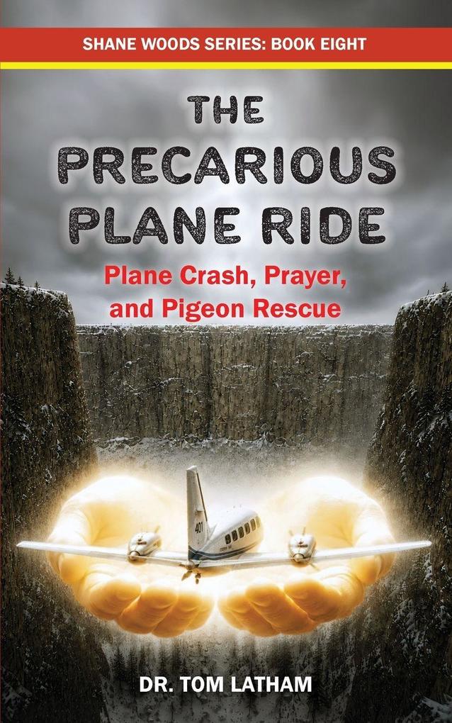 The Precarious Plane Ride