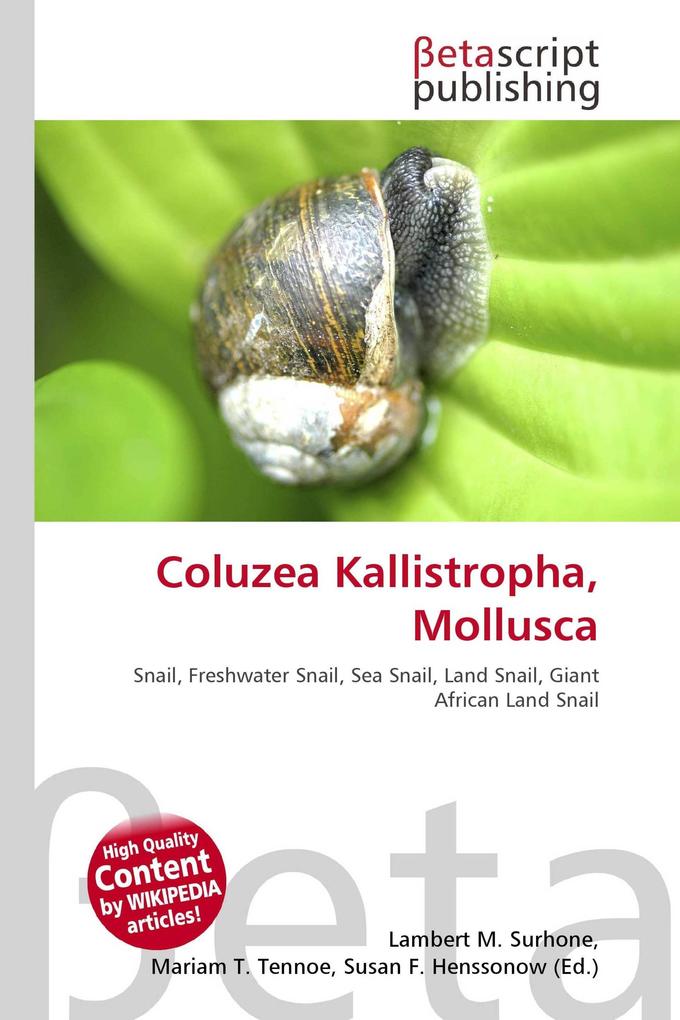 Coluzea Kallistropha Mollusca