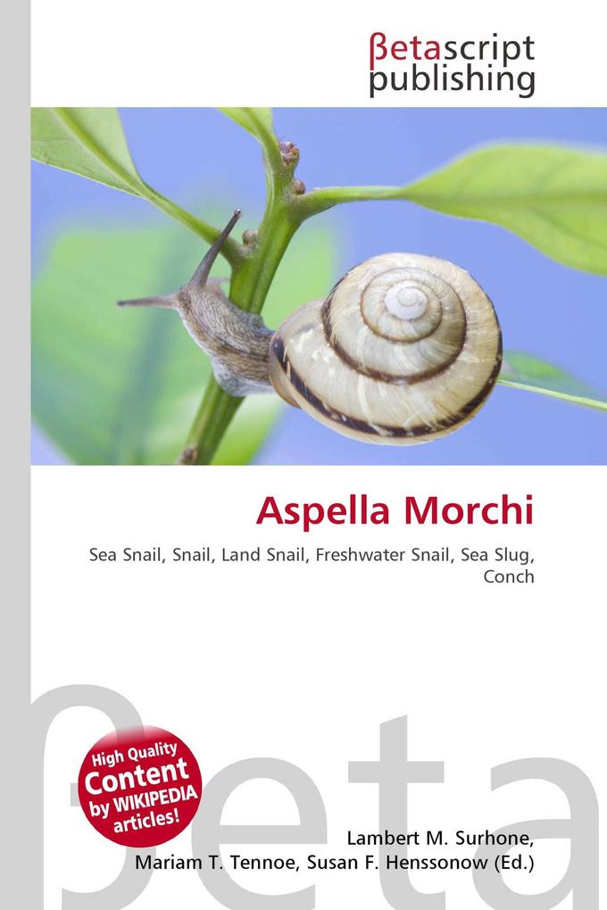 Aspella Morchi