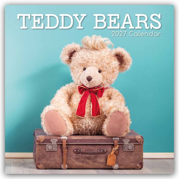 Teddy Bears - Teddybären 2027 - 16-Monatskalender