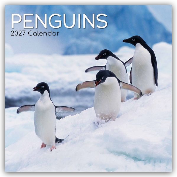 Penguins - Pinguine 2027 - 16-Monatskalender