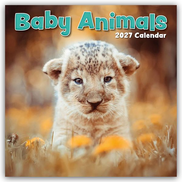 Baby Animals - Tierkinder 2027 - 16-Monatskalender